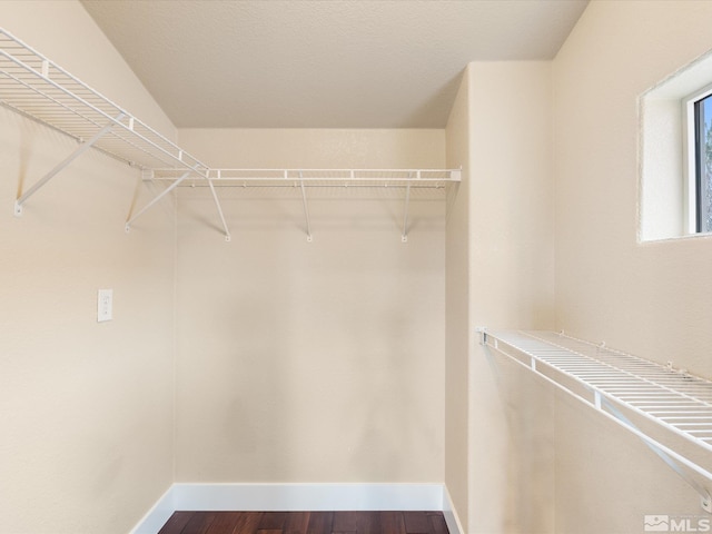 spacious closet with hardwood / wood-style floors