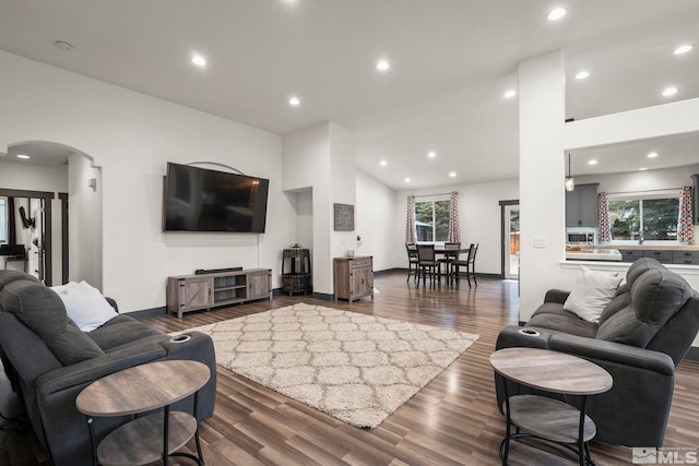 living room featuring lofted ceiling and wood-type flooring