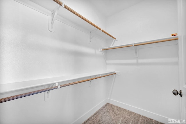 walk in closet featuring light colored carpet