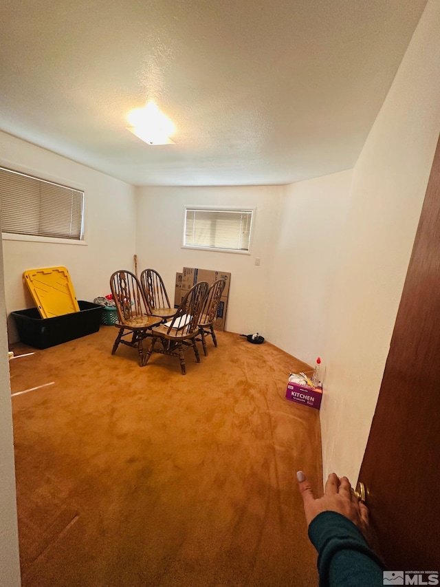 interior space with carpet flooring and a textured ceiling