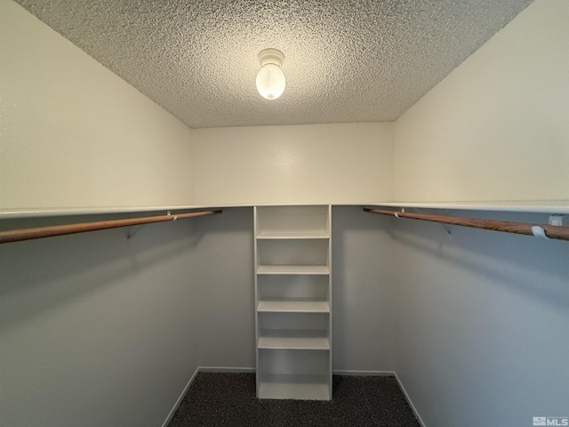 spacious closet featuring carpet