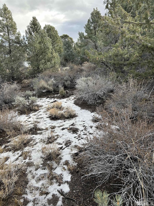 1825 Empire Rd, Virginia City NV, 89521 land for sale