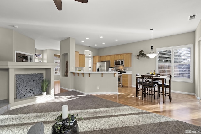 living room with light hardwood / wood-style floors and ceiling fan