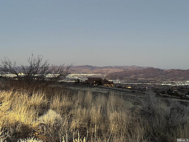 6597 Salt Brush Ct, Reno NV, 89511 land for sale