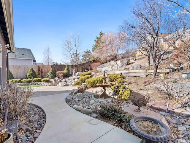 view of yard with a patio