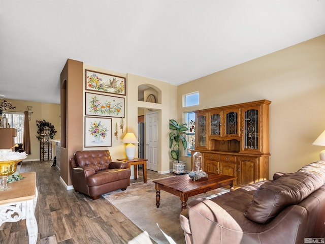 living room featuring dark wood-type flooring