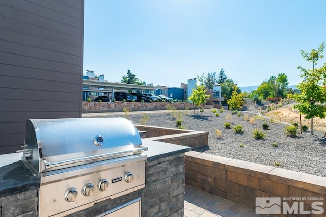 view of patio / terrace with area for grilling