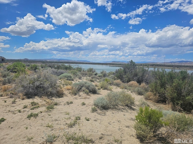 6360 Mustang Rd, Fallon NV, 89406 land for sale