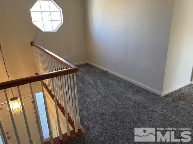 stairs featuring carpet floors