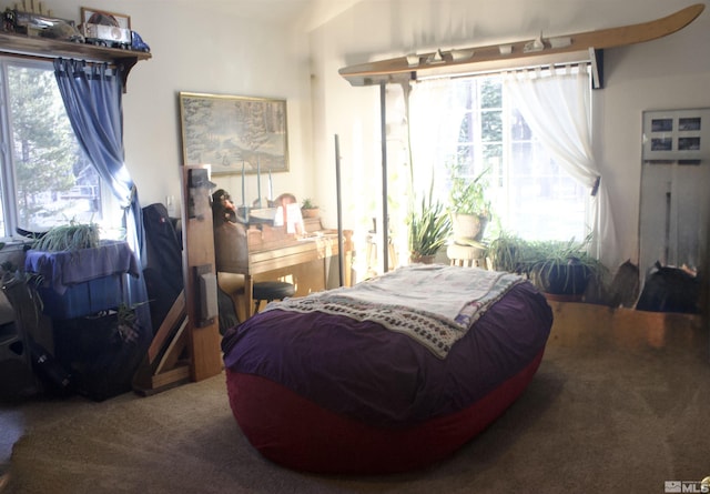 carpeted bedroom featuring multiple windows