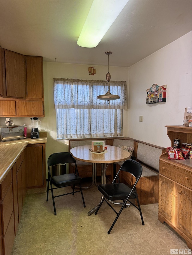 dining room with breakfast area and a healthy amount of sunlight