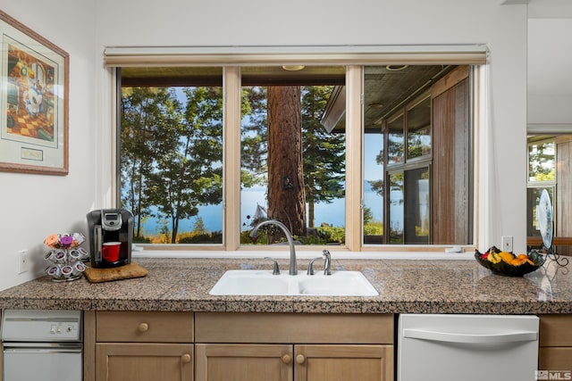 kitchen featuring sink and dishwasher