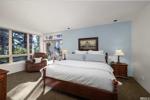 view of carpeted bedroom