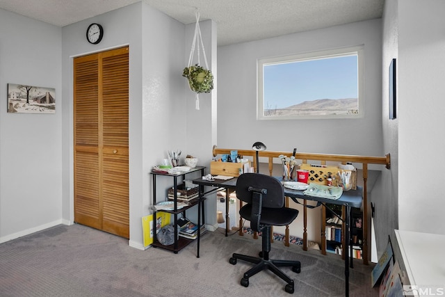 carpeted office with a textured ceiling