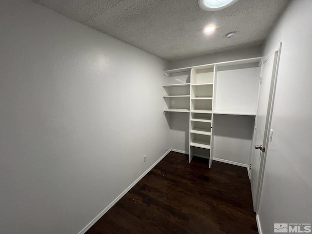 walk in closet featuring dark hardwood / wood-style floors