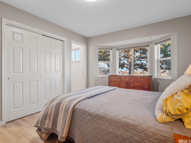 bedroom with multiple windows and a closet