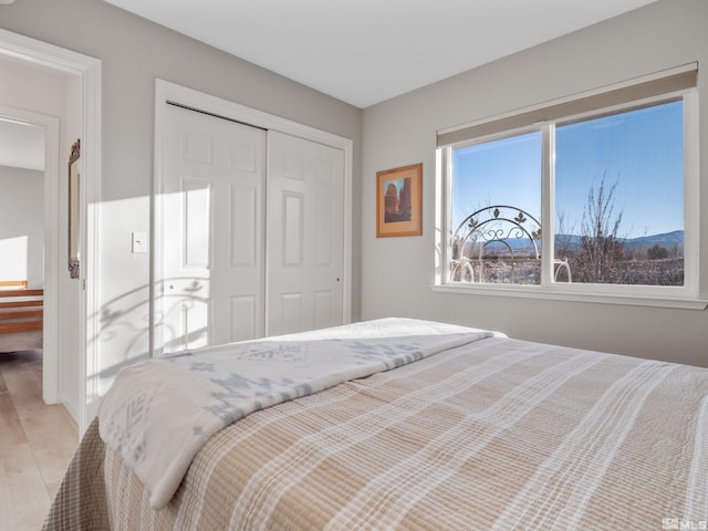 bedroom featuring light wood-type flooring and a closet