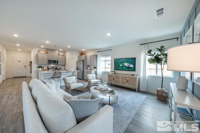 living room with light hardwood / wood-style flooring