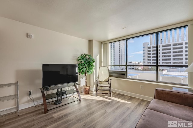 living room with hardwood / wood-style floors