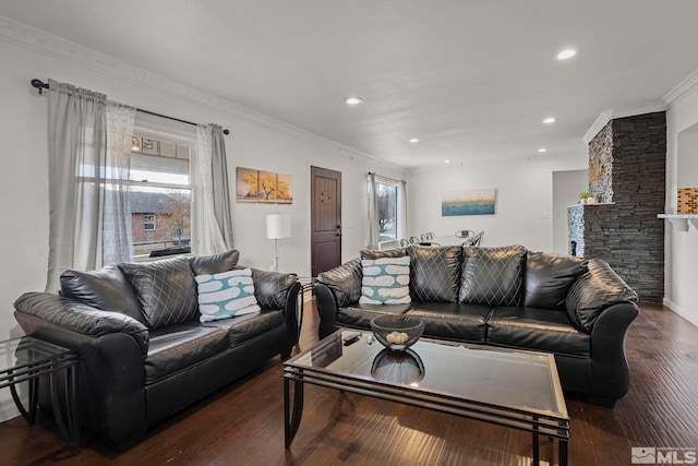 living room with crown molding, dark hardwood / wood-style floors, and a wealth of natural light