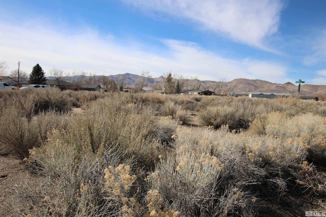 Listing photo 2 for 7 Calico Hills Ln, Yerington NV 89447