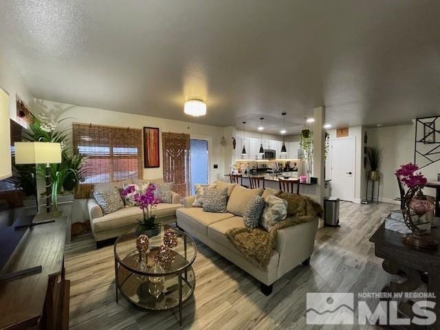 living room with hardwood / wood-style flooring