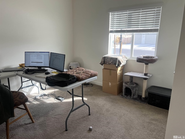 home office featuring light colored carpet