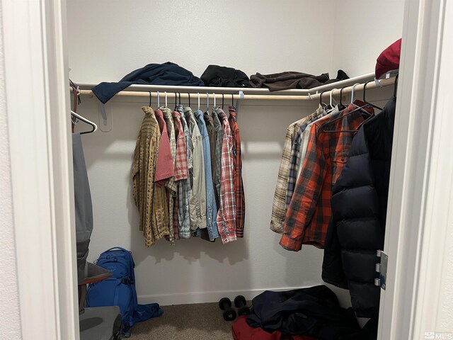 spacious closet with carpet flooring