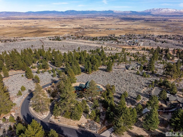 bird's eye view featuring a mountain view