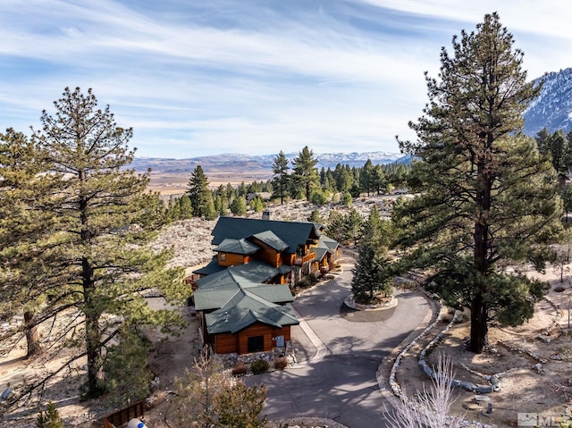 drone / aerial view featuring a mountain view