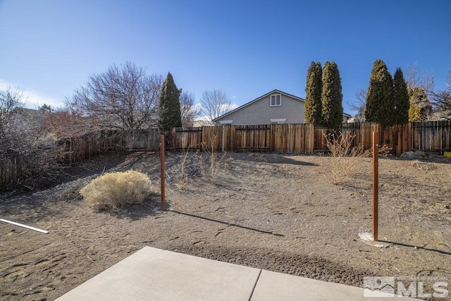 view of yard with a patio