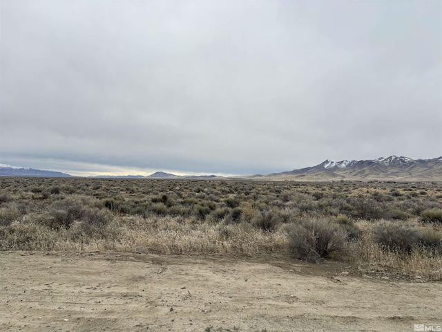 06-0251-21 Godchaux Rd, Winnemucca NV, 89445 land for sale