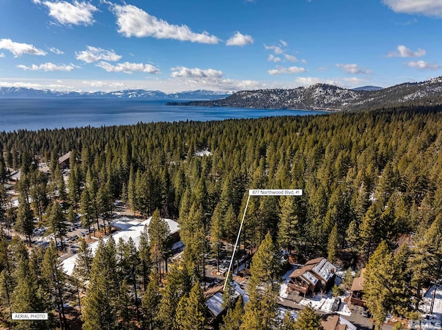 drone / aerial view featuring a water and mountain view