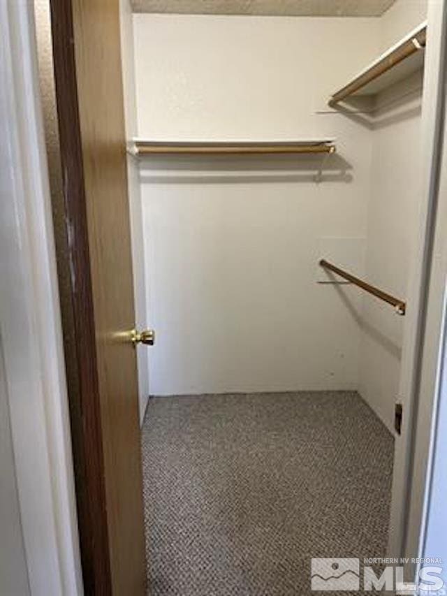 spacious closet with carpet flooring