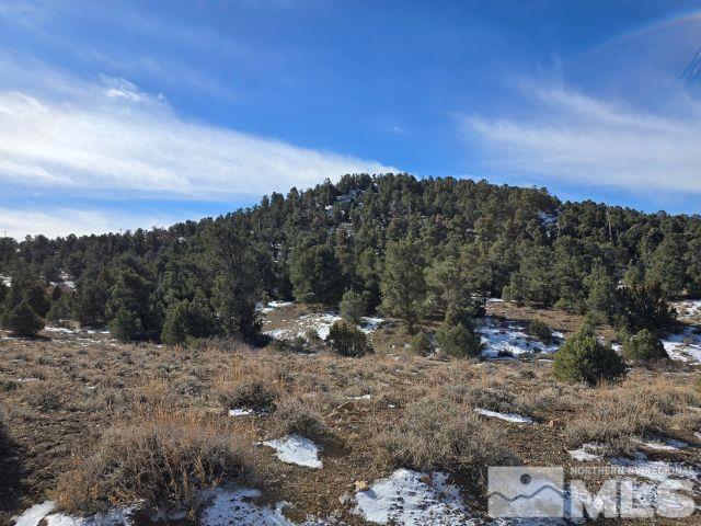 250 Vermillion Rd, Reno NV, 89521 land for sale