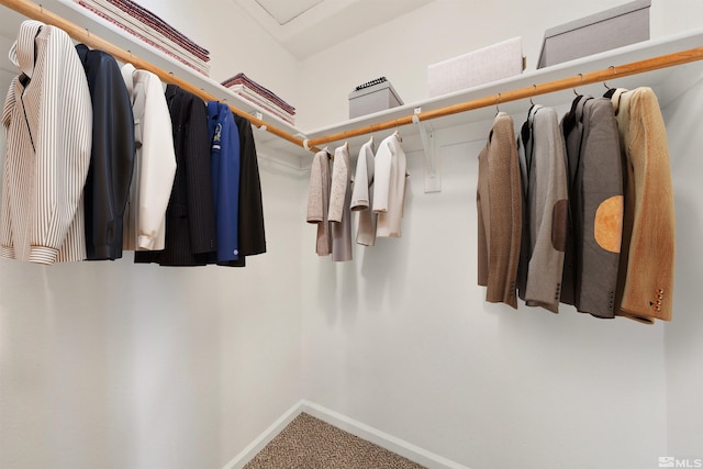 spacious closet with carpet