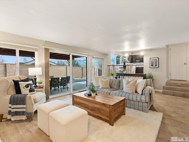 living room featuring light hardwood / wood-style floors