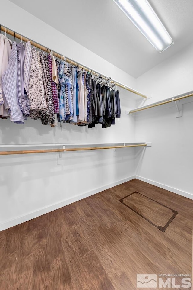 spacious closet featuring hardwood / wood-style floors