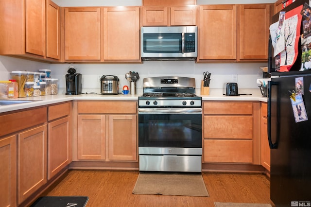 kitchen with light wood-type flooring and stainless steel appliances