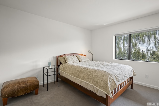 bedroom featuring carpet flooring