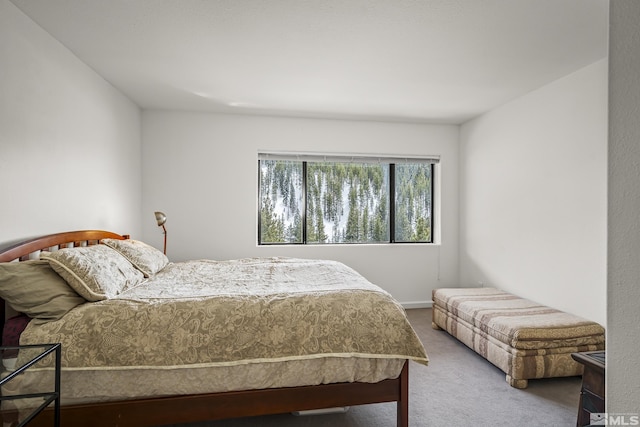 bedroom featuring carpet