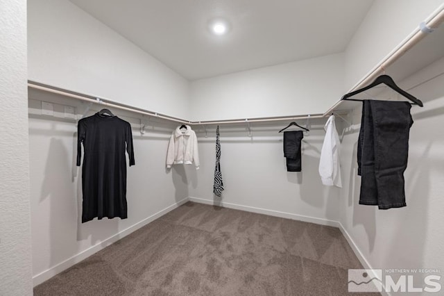 spacious closet featuring light colored carpet