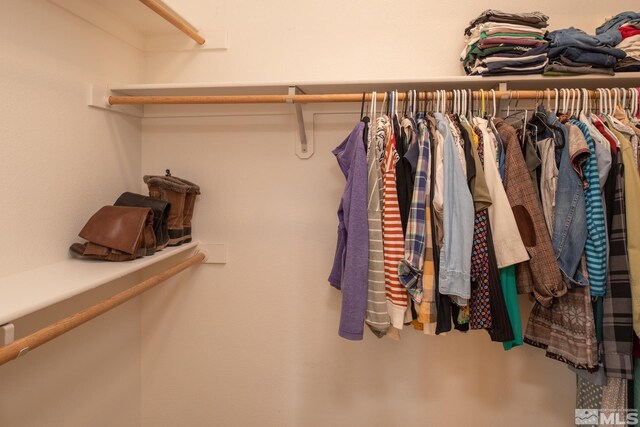 view of spacious closet