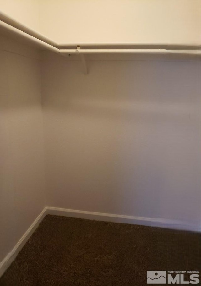 spacious closet featuring carpet flooring