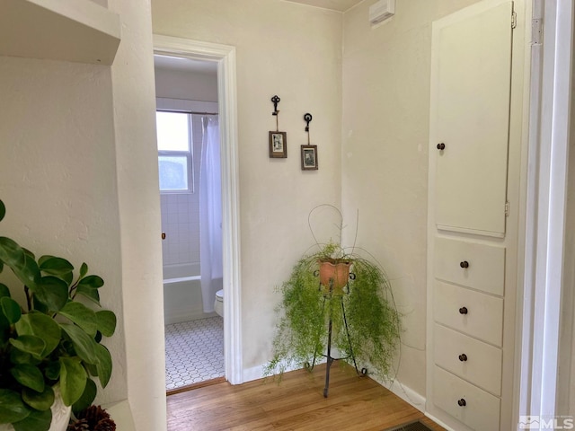 hall with wood finished floors