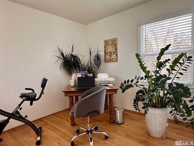 office area featuring light wood finished floors