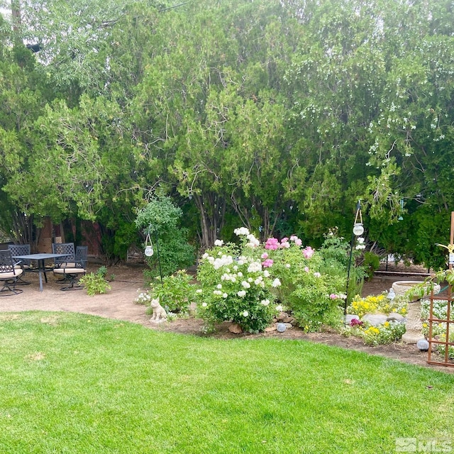 view of yard featuring a patio area