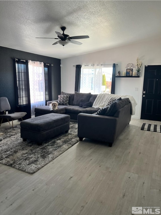 living area with light wood finished floors, a ceiling fan, and a textured ceiling