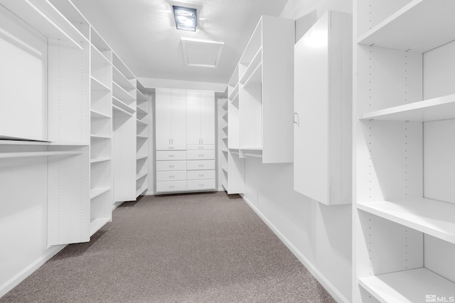 walk in closet with attic access and dark carpet