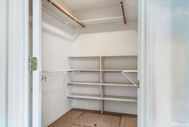 walk in closet featuring carpet flooring